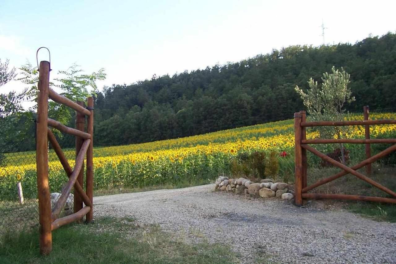 Appartamenti Con Cucina Nelle Colline Toscane Anghiari Exterior foto