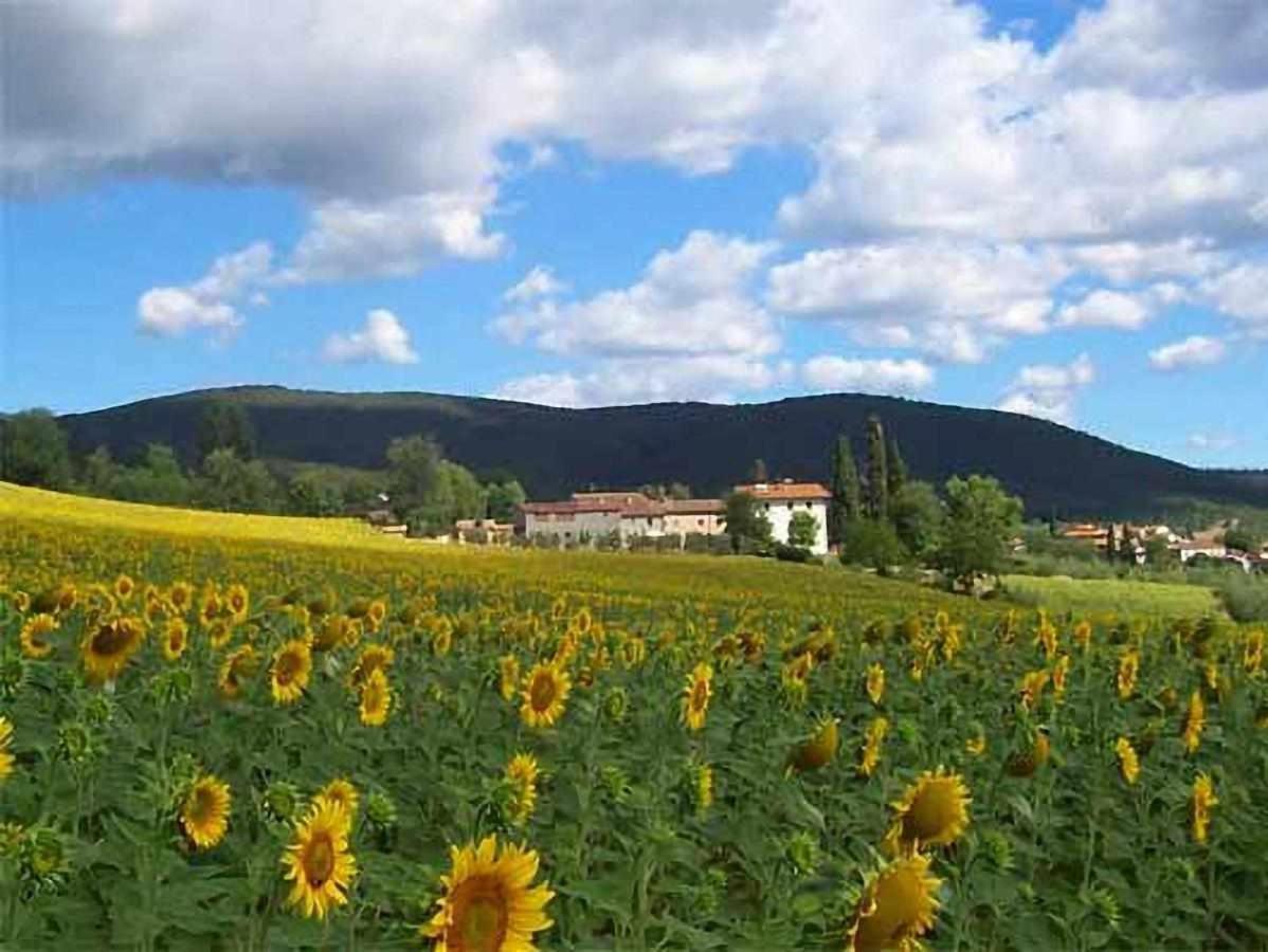 Appartamenti Con Cucina Nelle Colline Toscane Anghiari Exterior foto