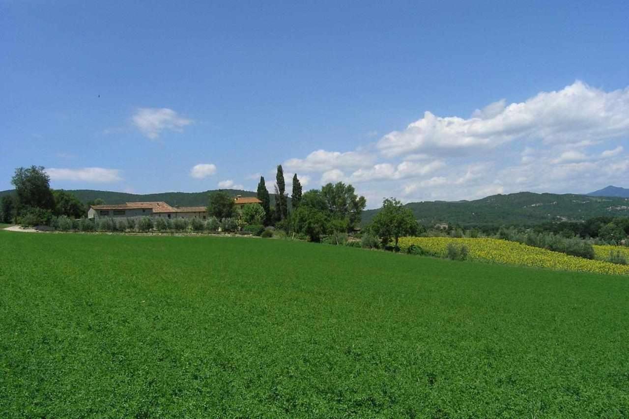 Appartamenti Con Cucina Nelle Colline Toscane Anghiari Exterior foto
