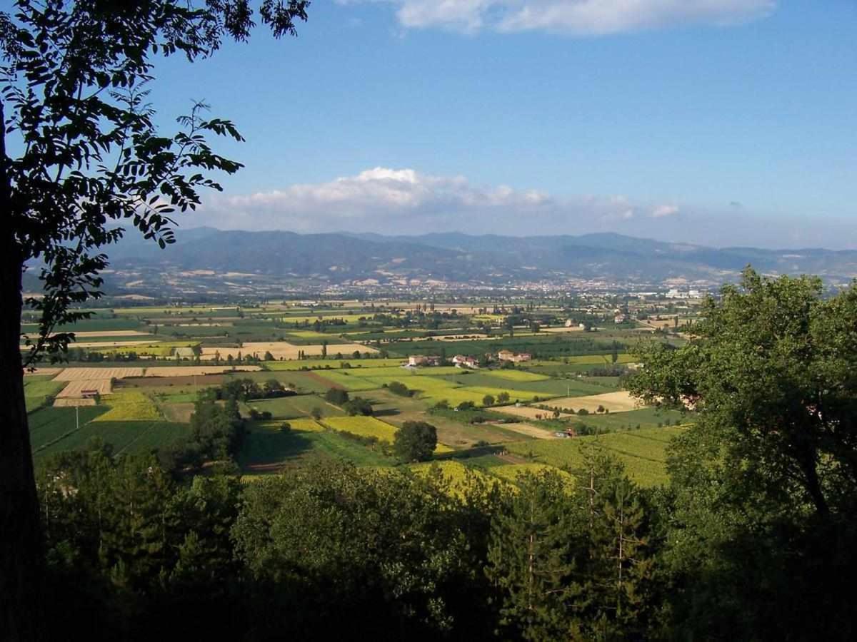 Appartamenti Con Cucina Nelle Colline Toscane Anghiari Exterior foto
