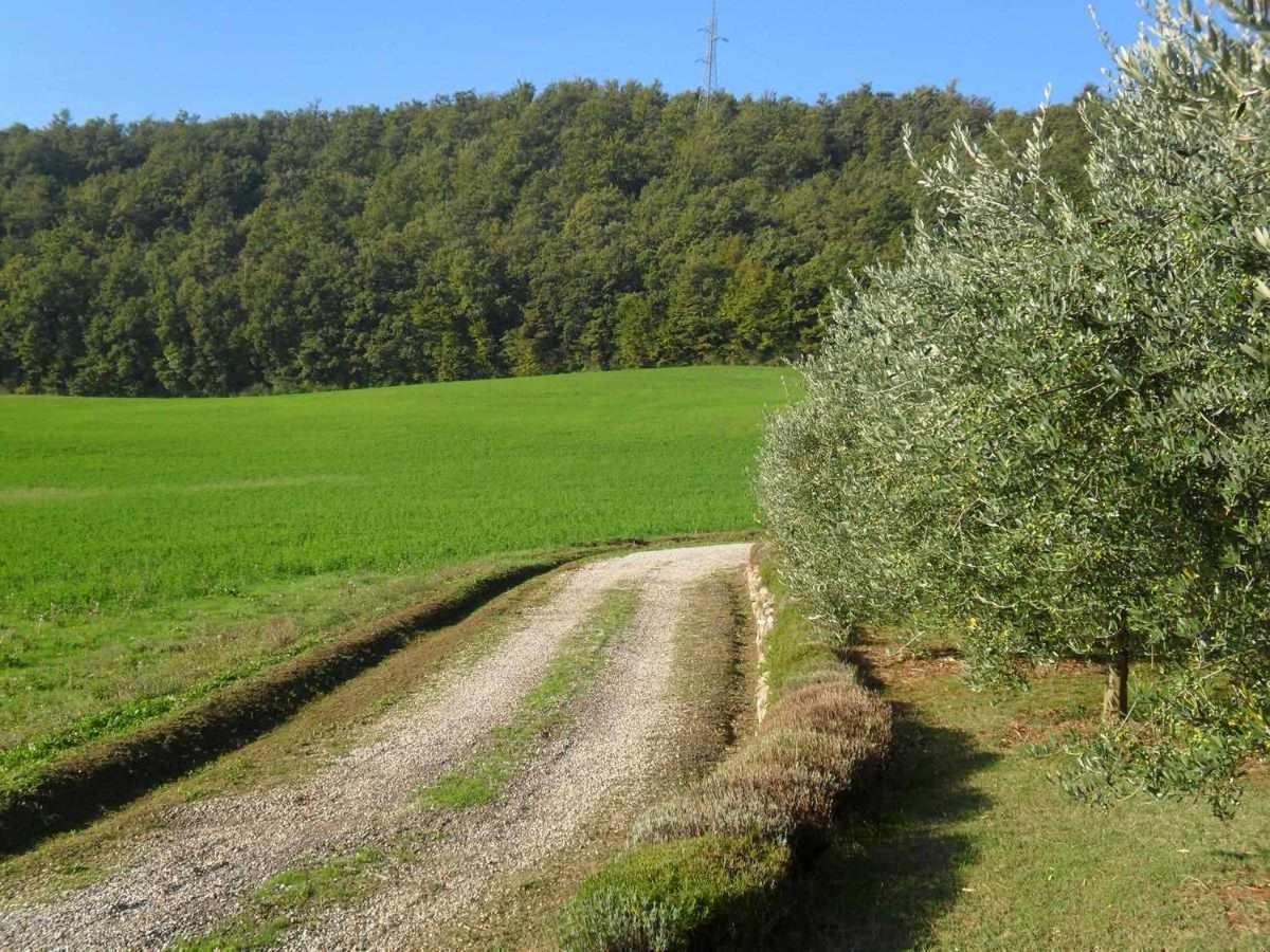 Appartamenti Con Cucina Nelle Colline Toscane Anghiari Exterior foto