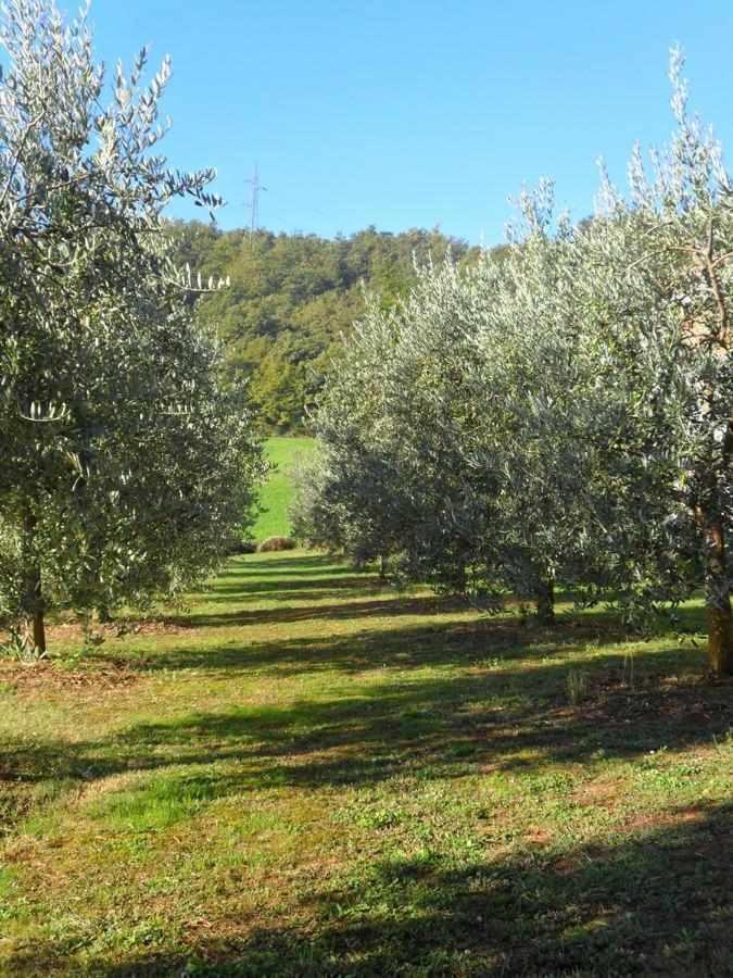 Appartamenti Con Cucina Nelle Colline Toscane Anghiari Exterior foto