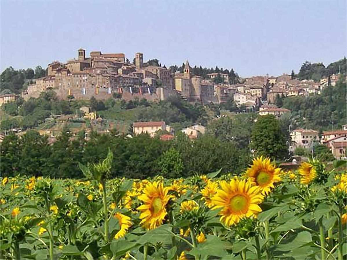 Appartamenti Con Cucina Nelle Colline Toscane Anghiari Exterior foto